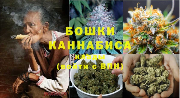 MESCALINE Аркадак